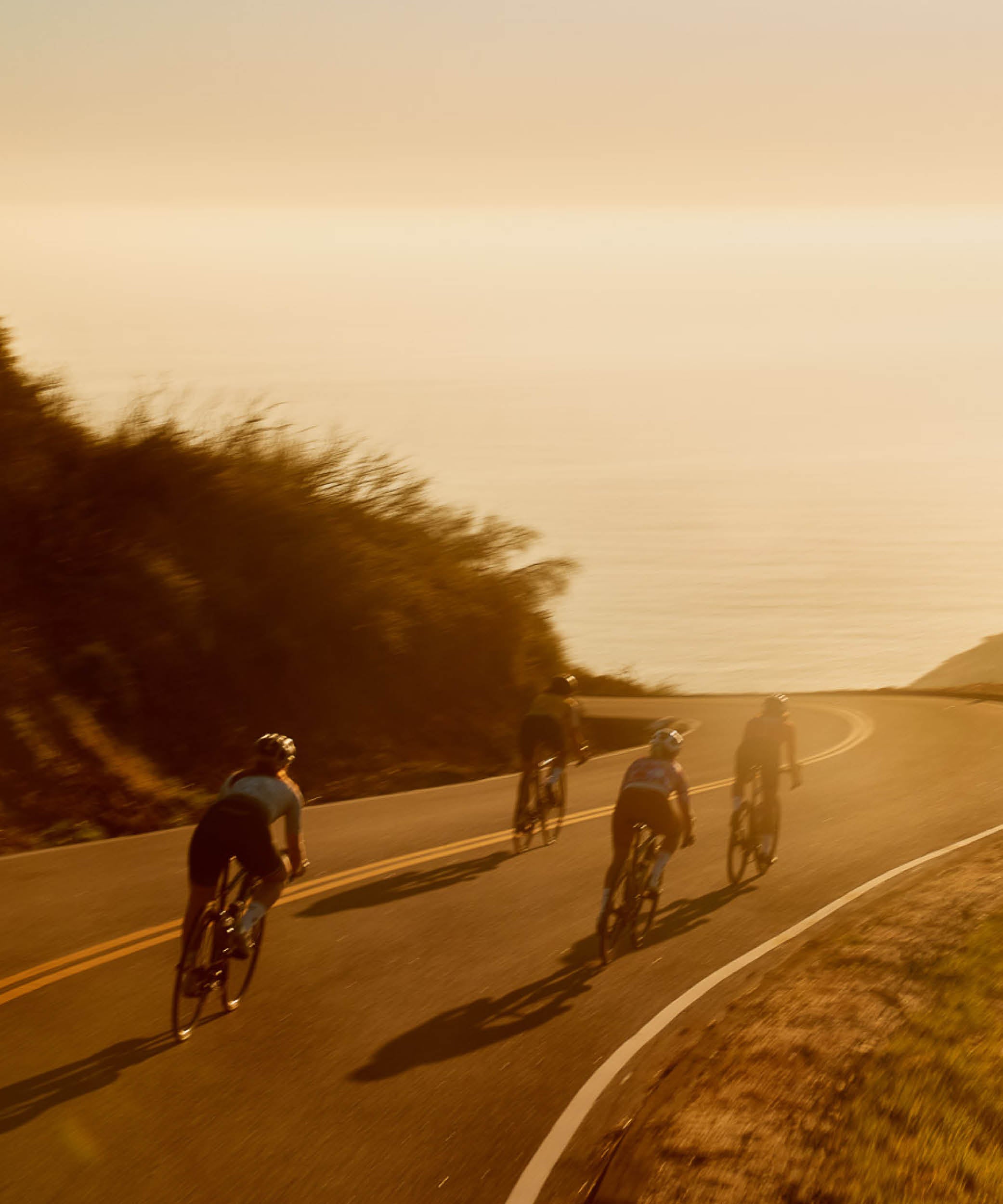 PEPPERMINT Cycling Co.